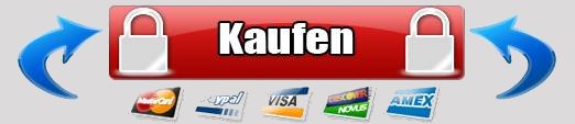 Womanizer werden